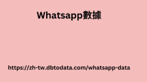 阿聯酋 WhatsApp 號碼數據